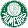 Palmeiras Barnkläder